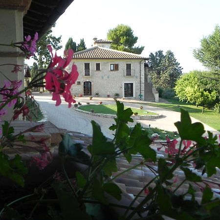Tenuta Pizzogallo Amelia Luaran gambar