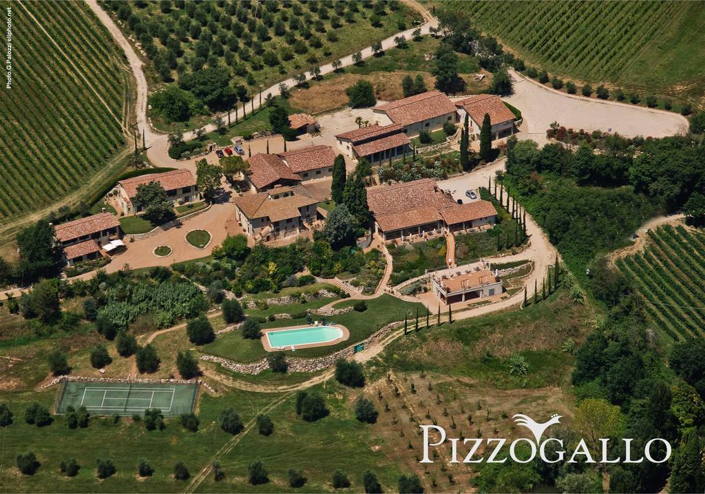 Tenuta Pizzogallo Amelia Luaran gambar