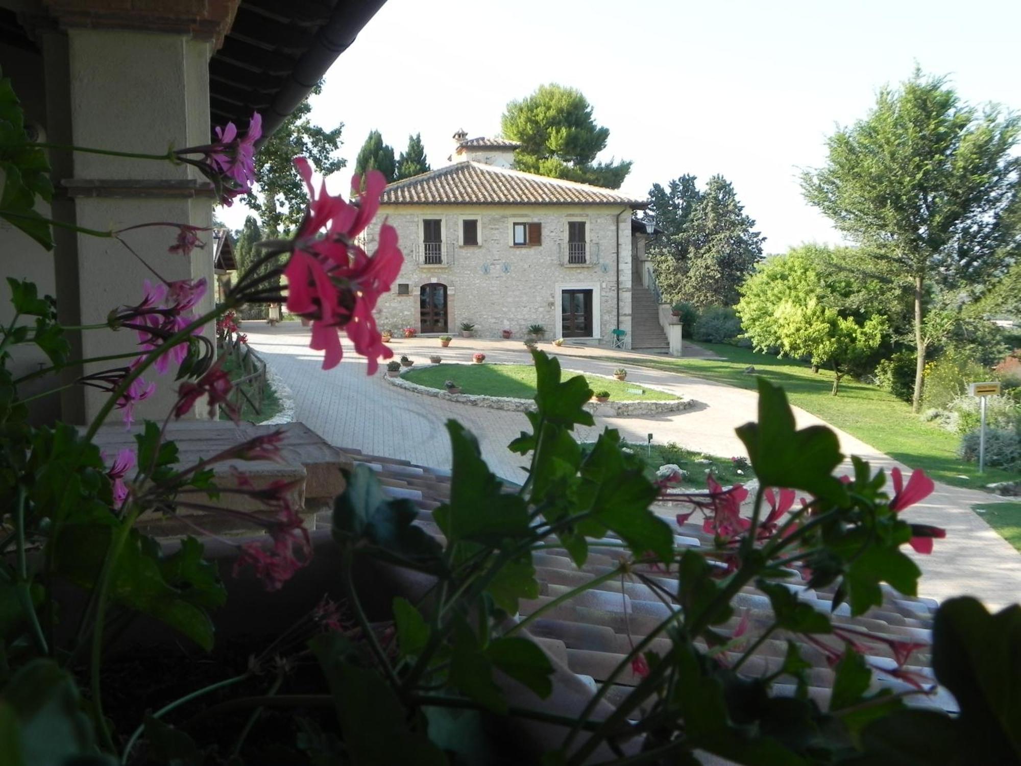 Tenuta Pizzogallo Amelia Luaran gambar