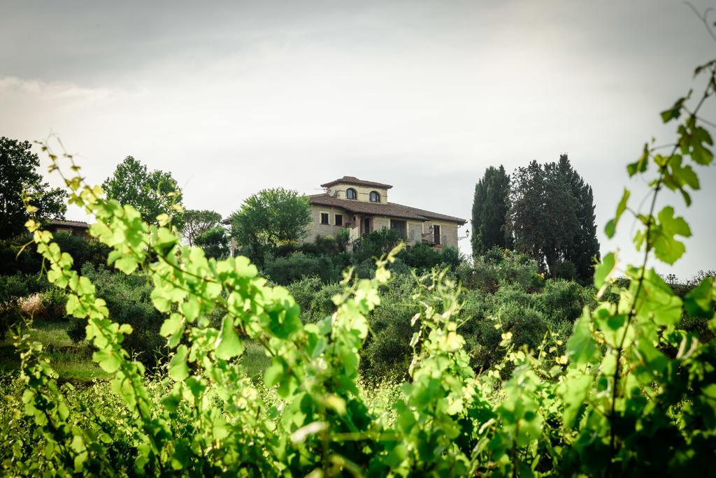 Tenuta Pizzogallo Amelia Luaran gambar