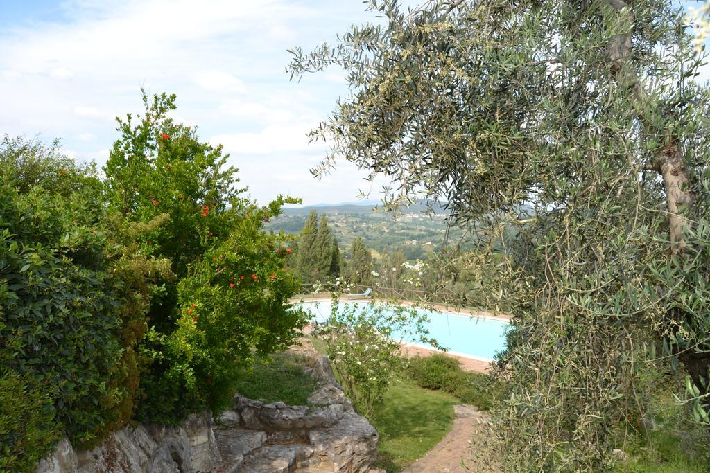 Tenuta Pizzogallo Amelia Luaran gambar