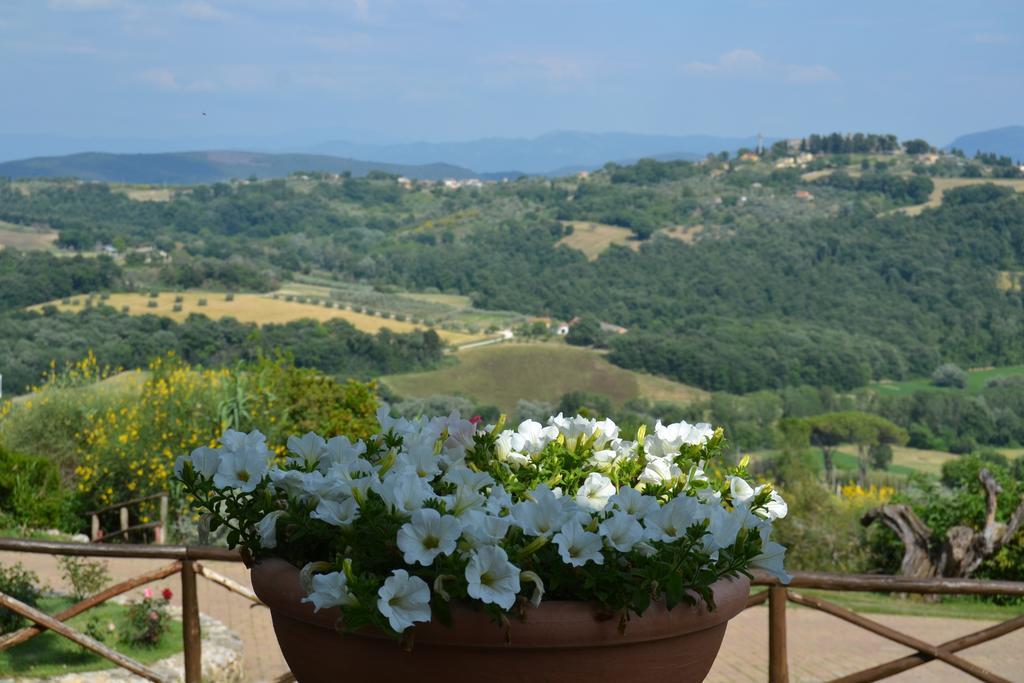 Tenuta Pizzogallo Amelia Luaran gambar