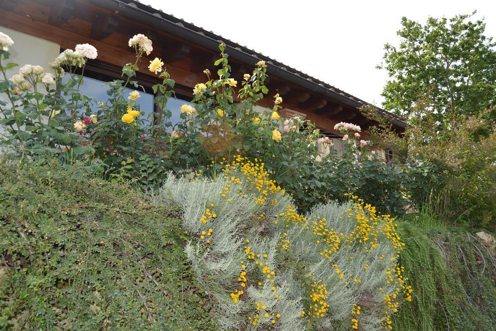 Tenuta Pizzogallo Amelia Luaran gambar