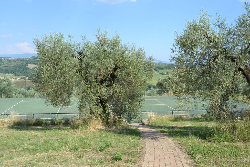 Tenuta Pizzogallo Amelia Luaran gambar