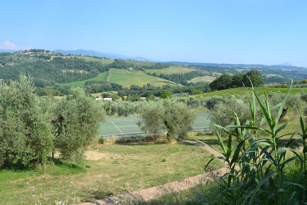 Tenuta Pizzogallo Amelia Luaran gambar