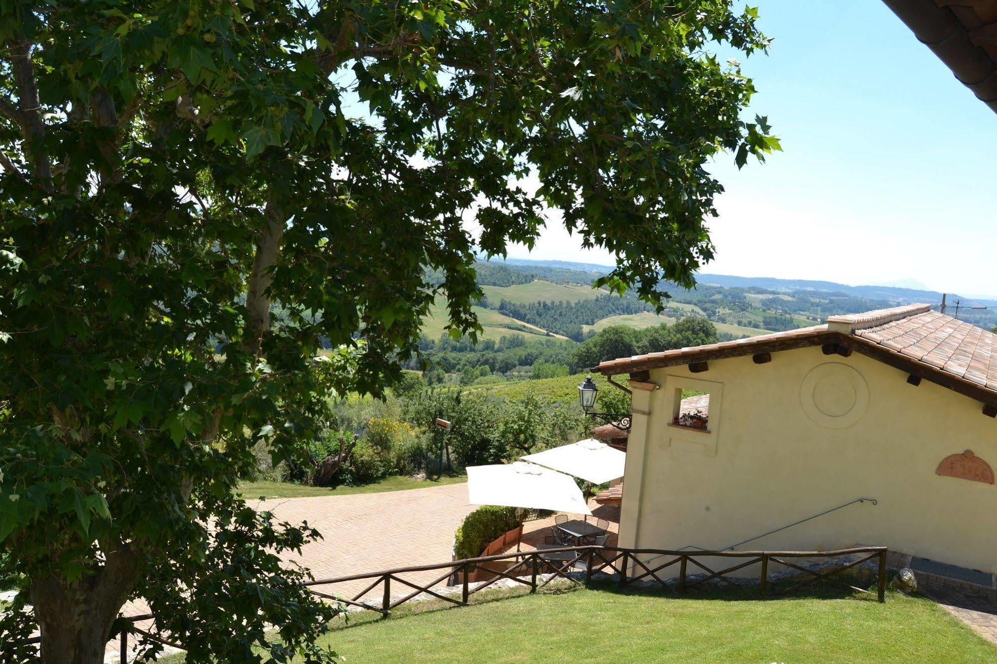 Tenuta Pizzogallo Amelia Luaran gambar