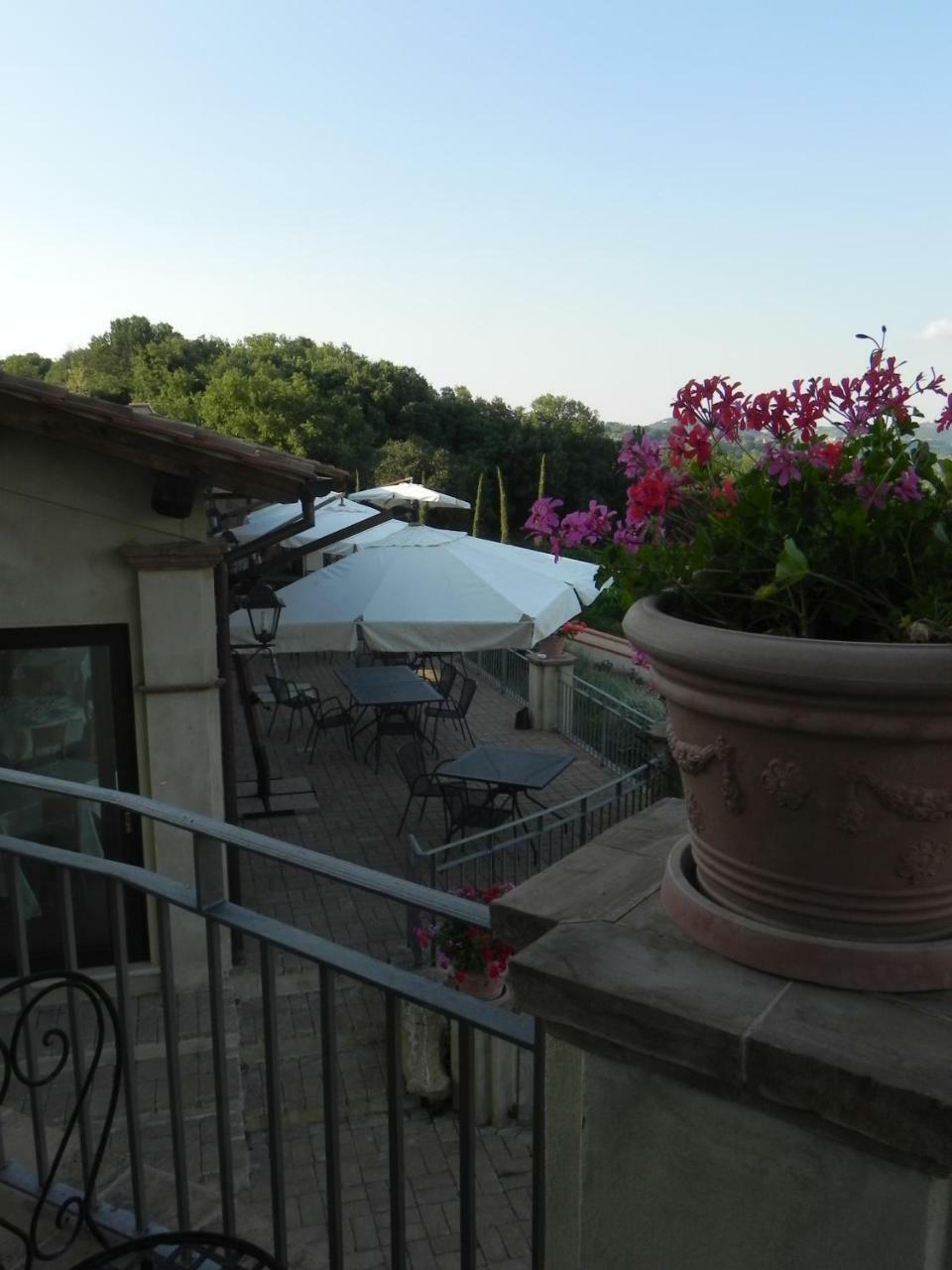 Tenuta Pizzogallo Amelia Luaran gambar